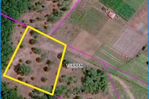 116687304_132640175180960_7905208544176208067_o