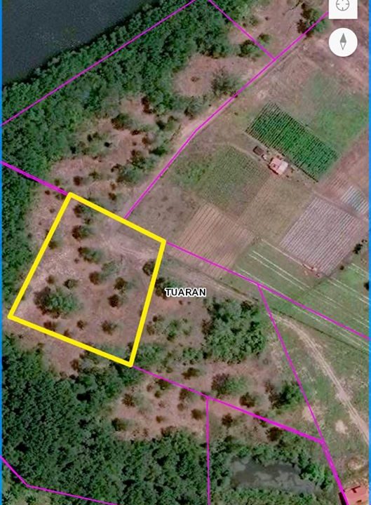 116687304_132640175180960_7905208544176208067_o