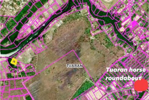 117078229_132643038514007_8963670310267378072_o