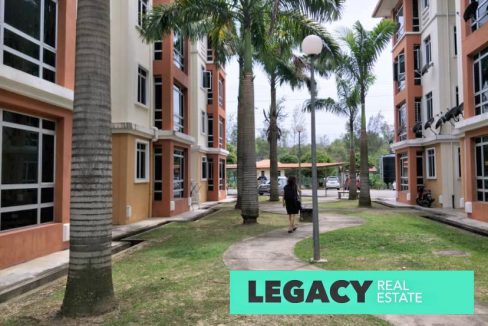 162646471_264920905286219_5034663935921548423_n