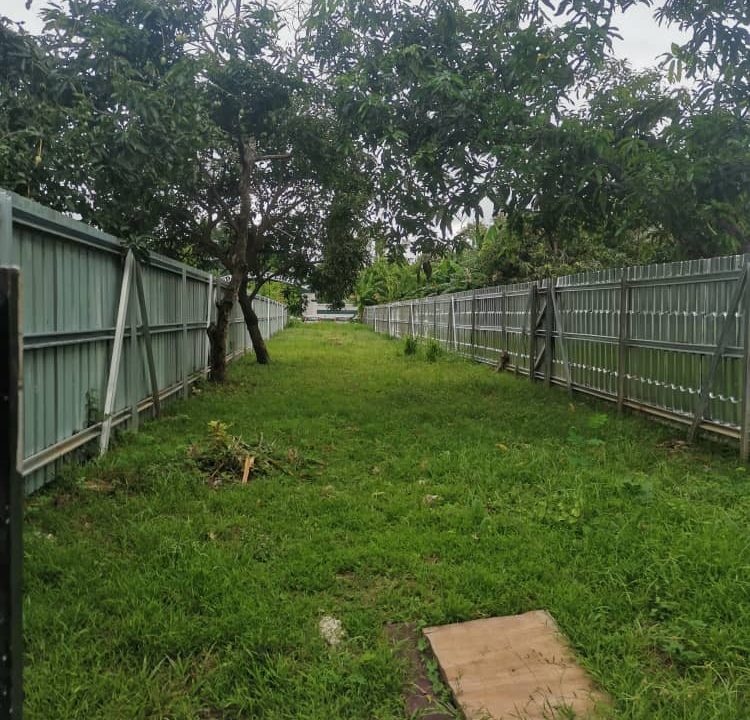 WhatsApp Image 2021-07-01 at 3.17.43 PM