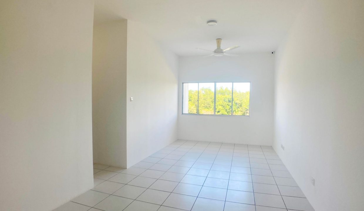 acacia menggatal mock up