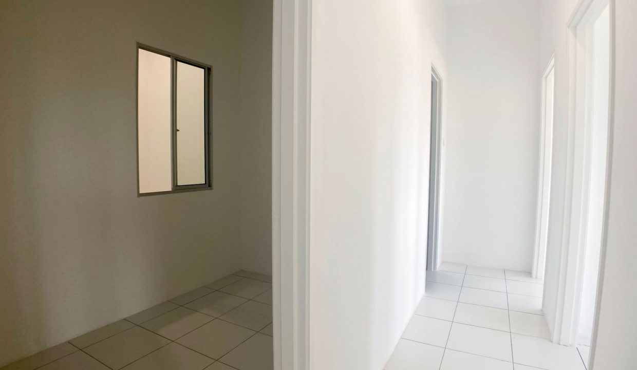 acacia menggatal mock up