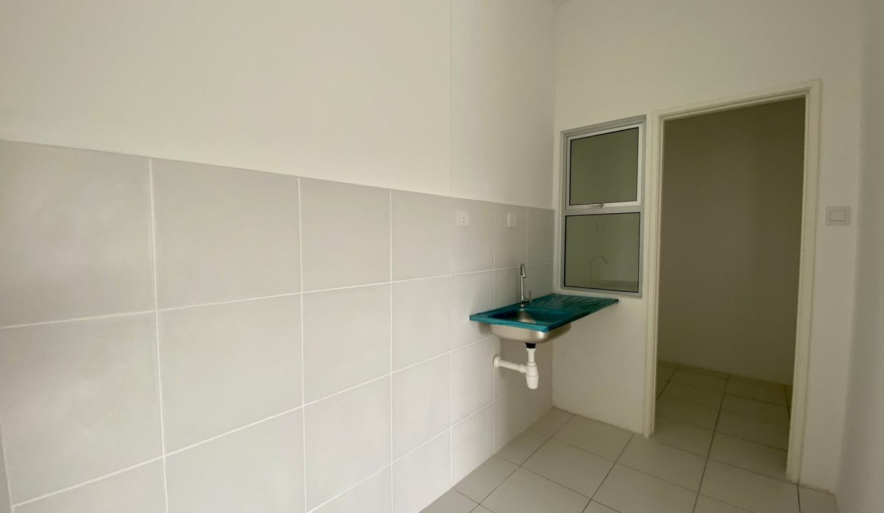 acacia menggatal mock up