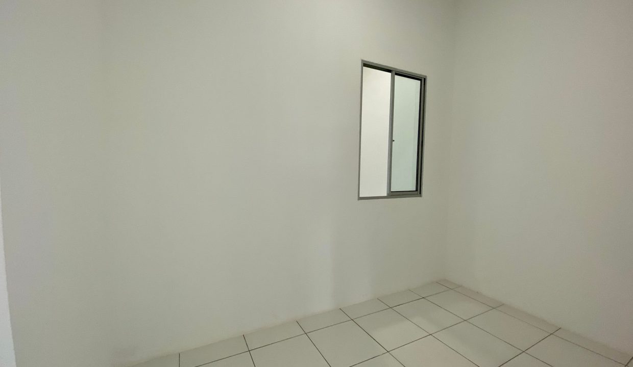 acacia menggatal mock up