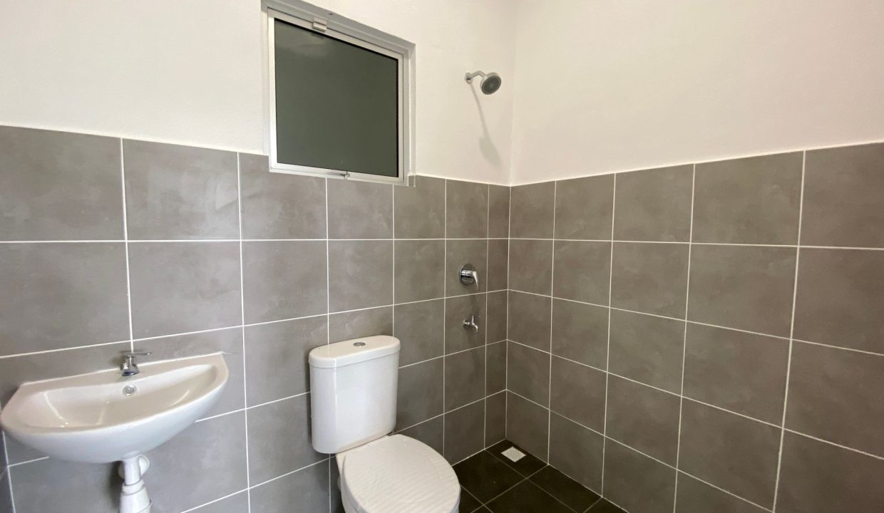 acacia menggatal mock up