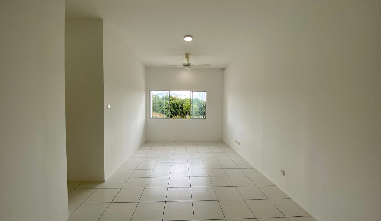 acacia menggatal mock up