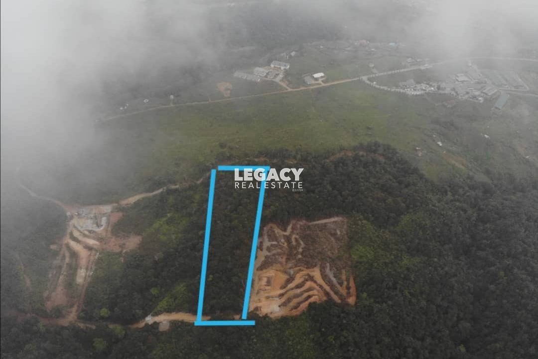 8a8d2ef9-9fcf-4019-a318-923ff22a590c