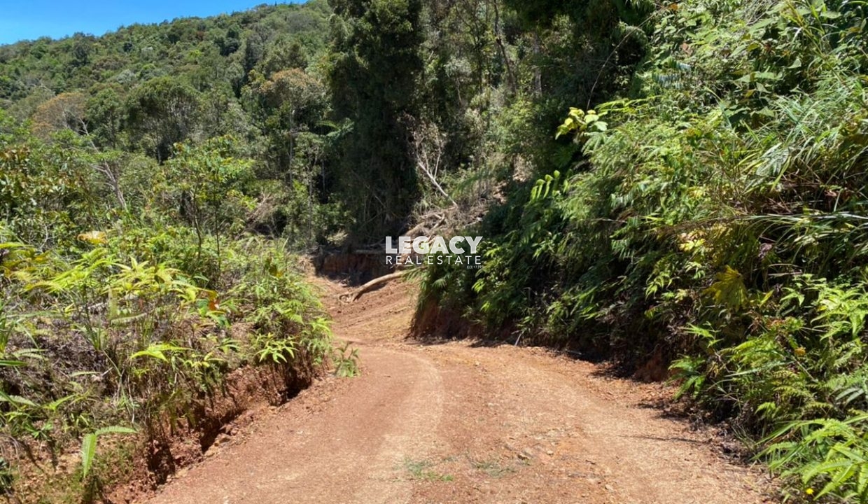 WhatsApp Image 2022-09-06 at 9.24.07 AM