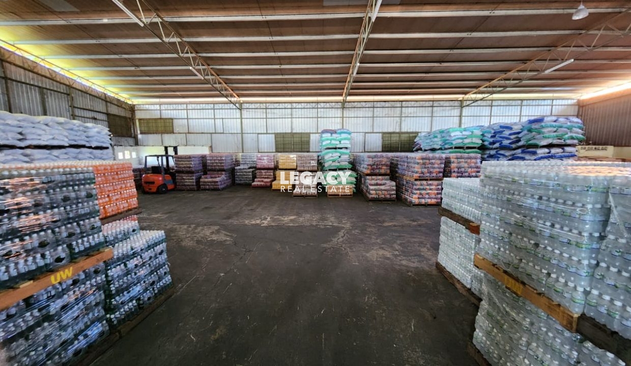 WhatsApp Image 2023-02-11 at 9.34.35 AM (1)