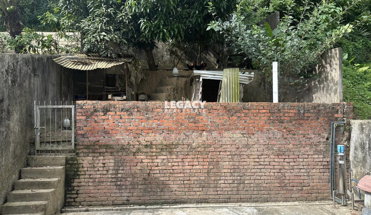 348247278_540025848344621_3617258736874721322_n