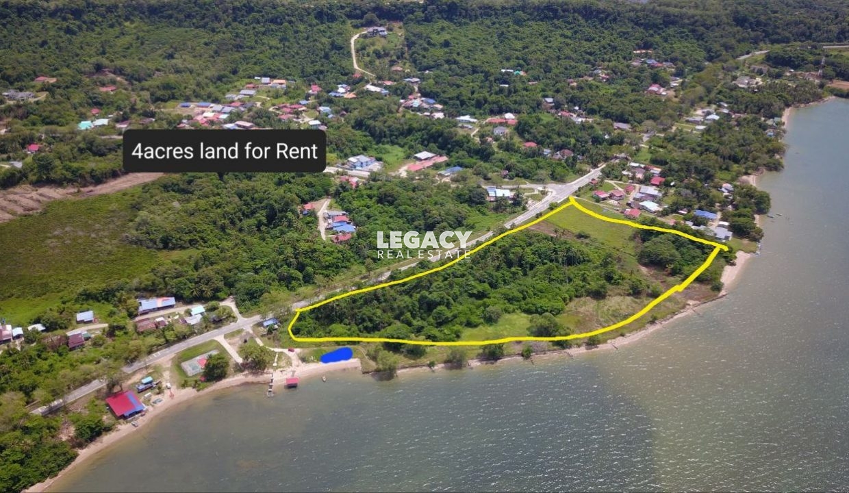 8ca1f299-a563-4686-9cea-86ccf36522b0