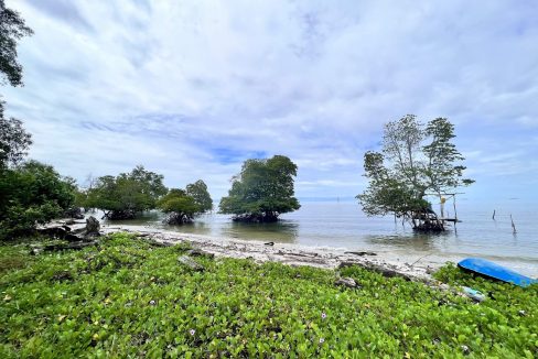 Menumbok land - Yeoh