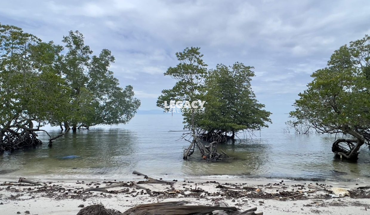Menumbok land - Yeoh
