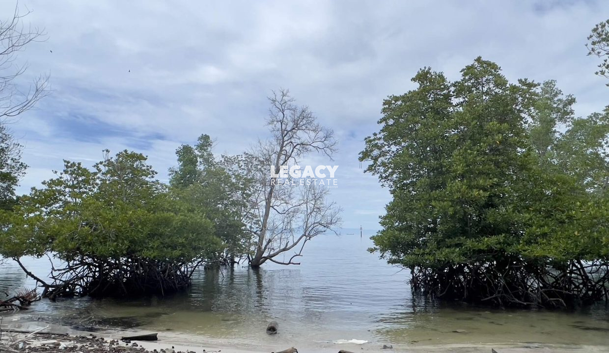 Menumbok land - Yeoh