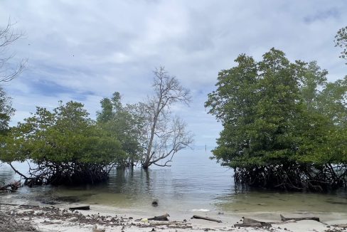 Menumbok land - Yeoh