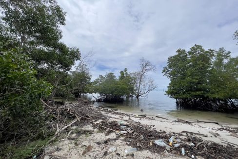 Menumbok land - Yeoh