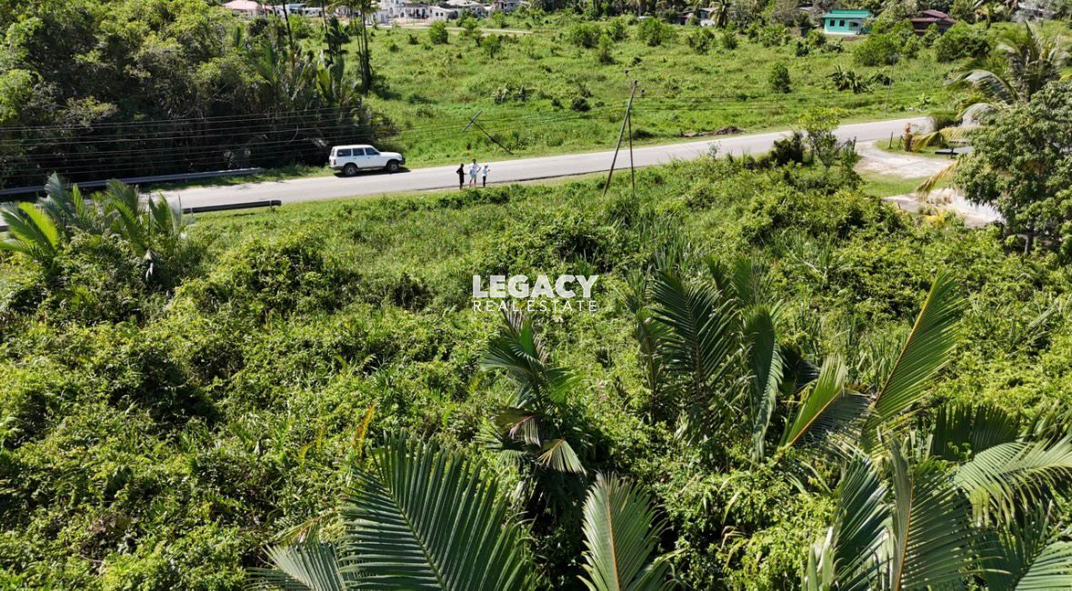 109de691-1602-42cb-8d08-da7f1d8ded23