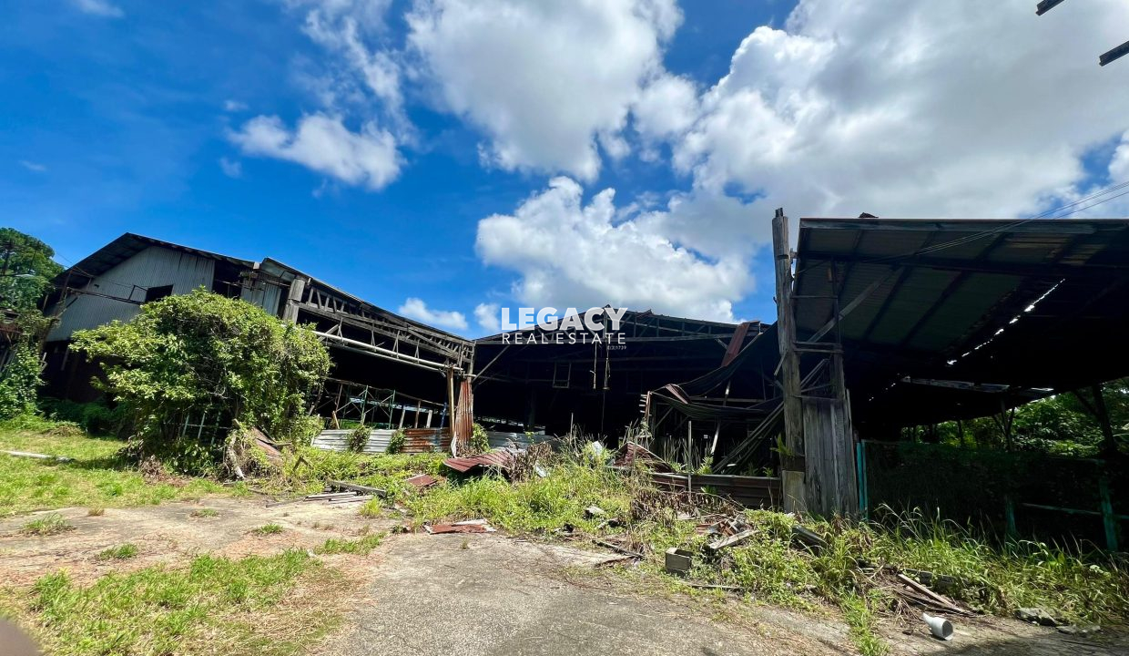 80304ac5-f68e-401e-8290-6a88dec7d918