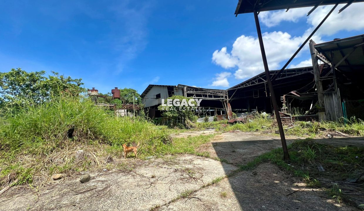 9544524d-08f3-4e20-b3e5-7dc1344f44d2