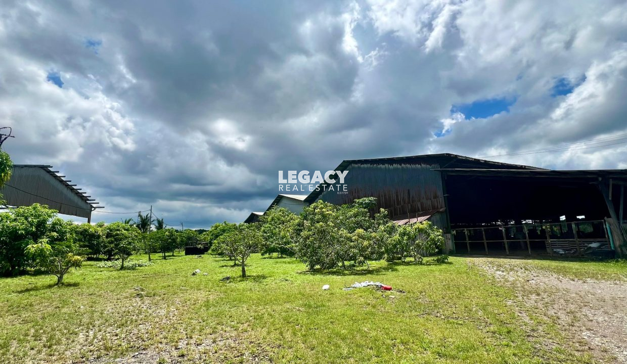 9eb79e3e-dbcd-4f99-bd17-dc0c6f1653a3