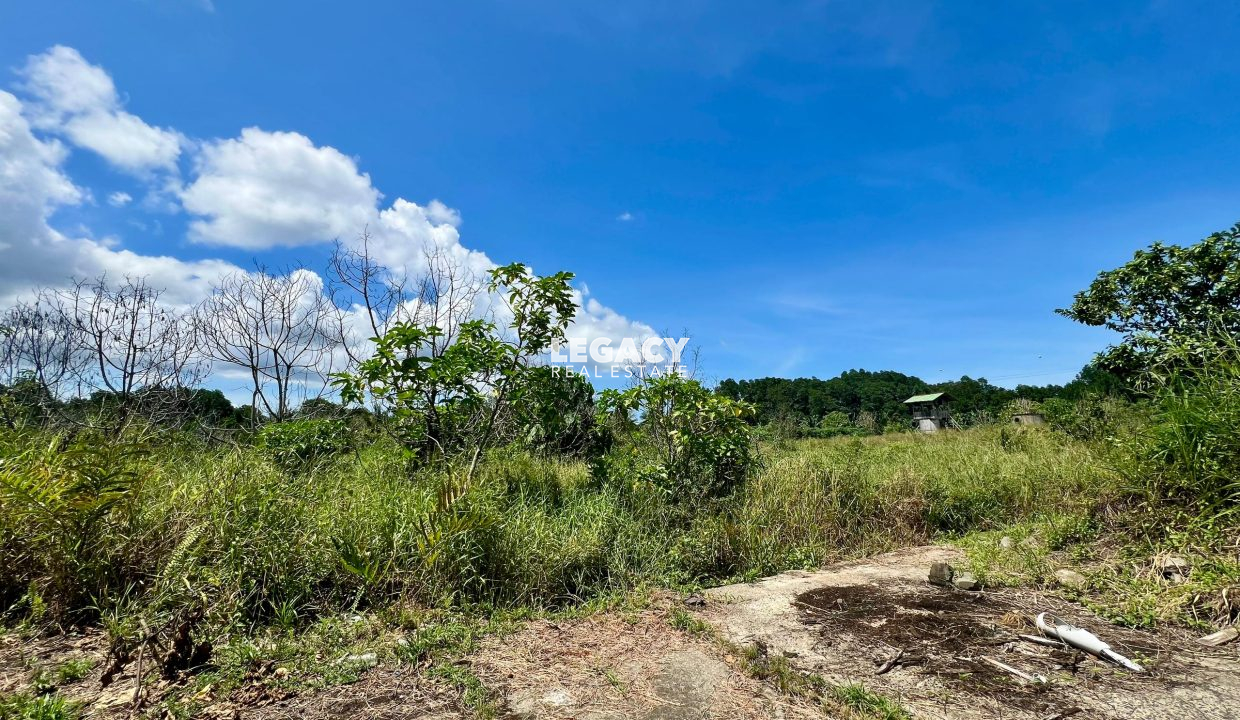 c7c13937-10f1-4e81-ba0f-3ea045299b6e