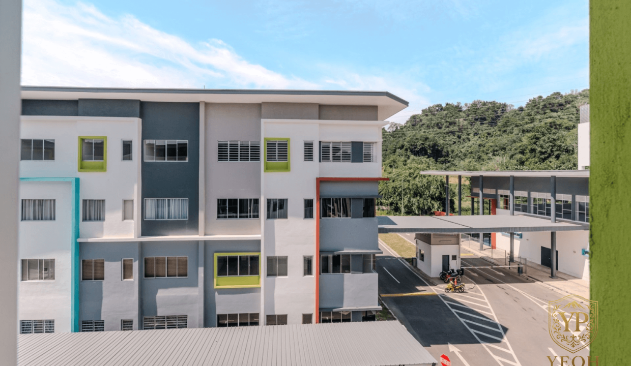 Acacia - Yeoh