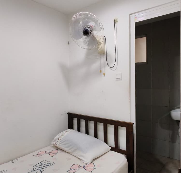 7a2a97ef-6ac4-48c6-8bc4-4afd3f7ad509