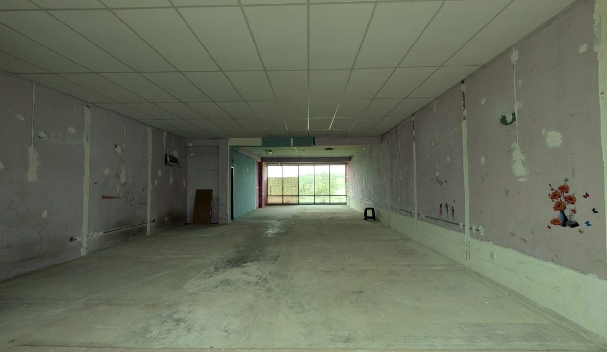 489e66c4-92c7-4c58-81d7-74a4926f6c8a