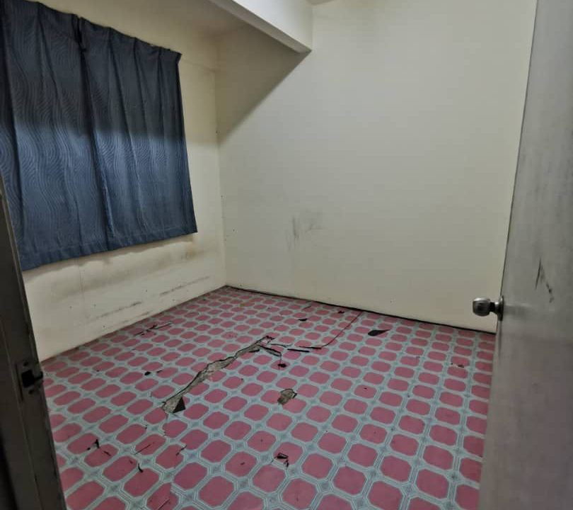 6db56bdb-9ca5-486d-8f35-5e7d279fa4ff