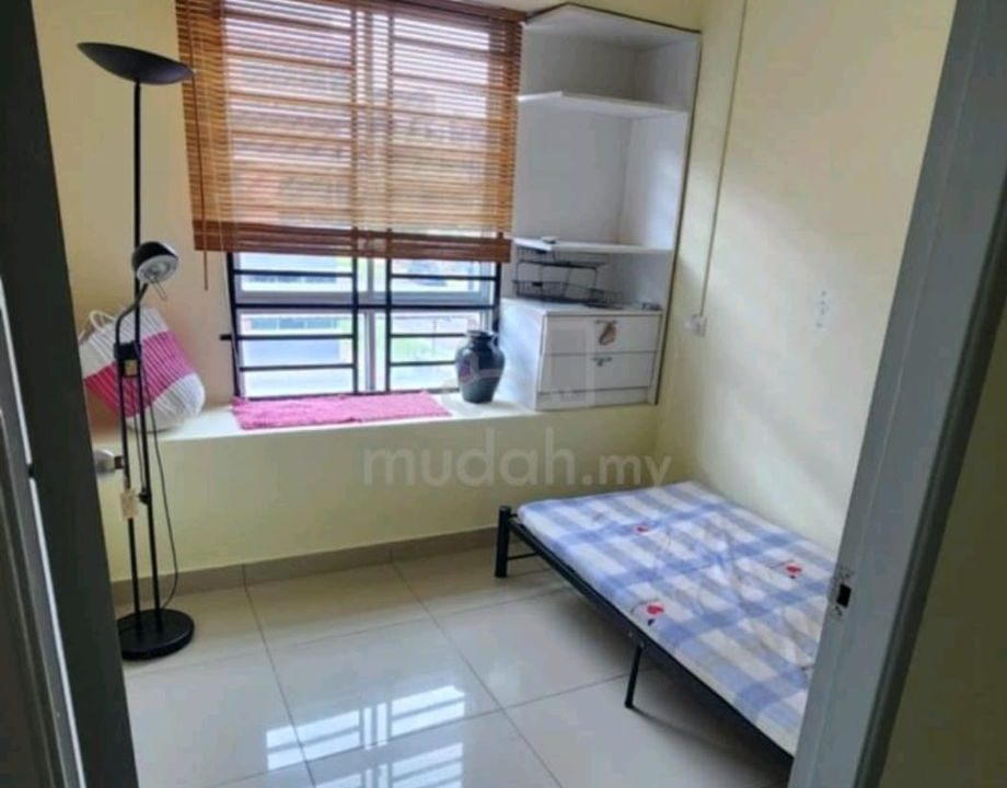 d099fd01-f8e0-4680-870a-25cb19823e6d