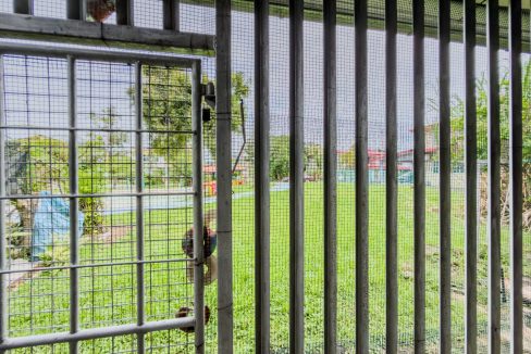 Taman Pelangi SS - Yeoh