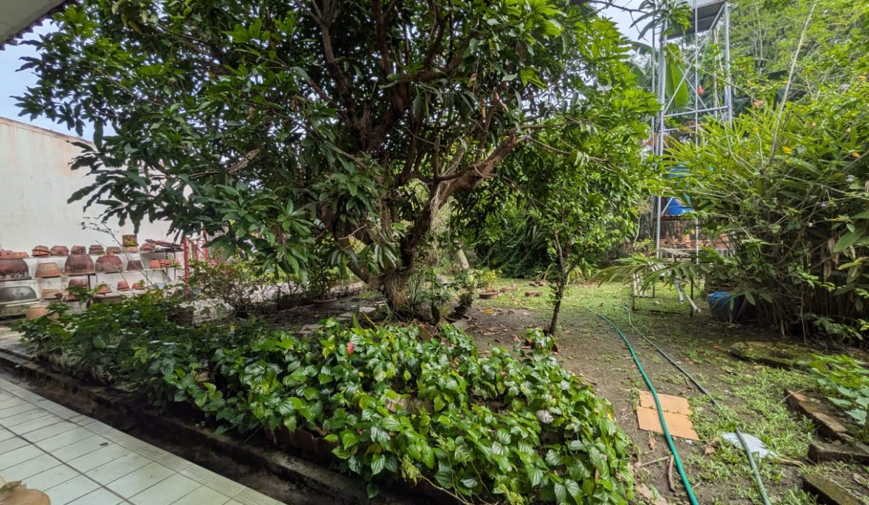 b7df869d-0f37-4e73-8f44-2425e8011adb