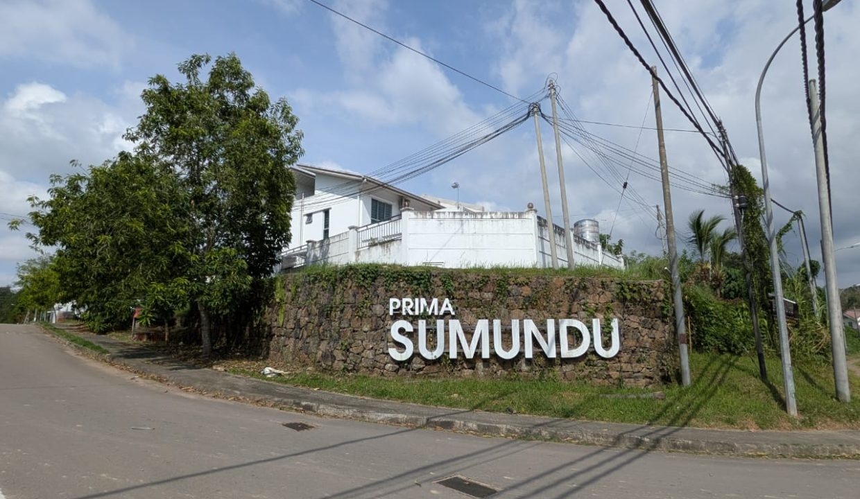 d50d245f-e3ee-4d23-8253-f9e1dbbd1846