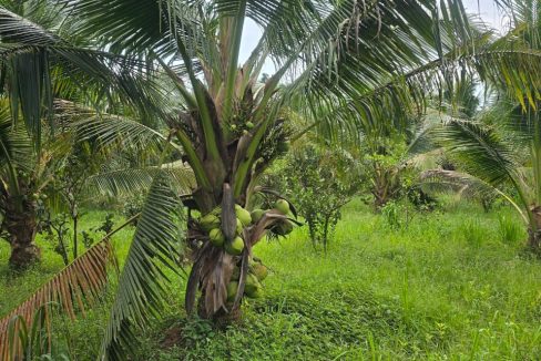 12a6c647-691c-472a-bc51-81635fdeae76