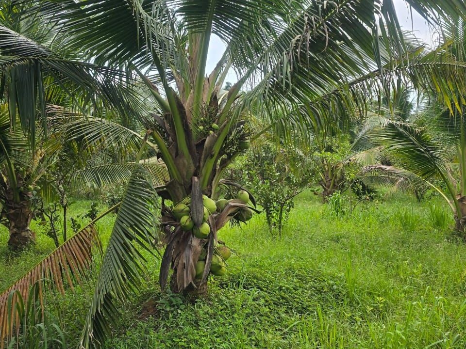 12a6c647-691c-472a-bc51-81635fdeae76