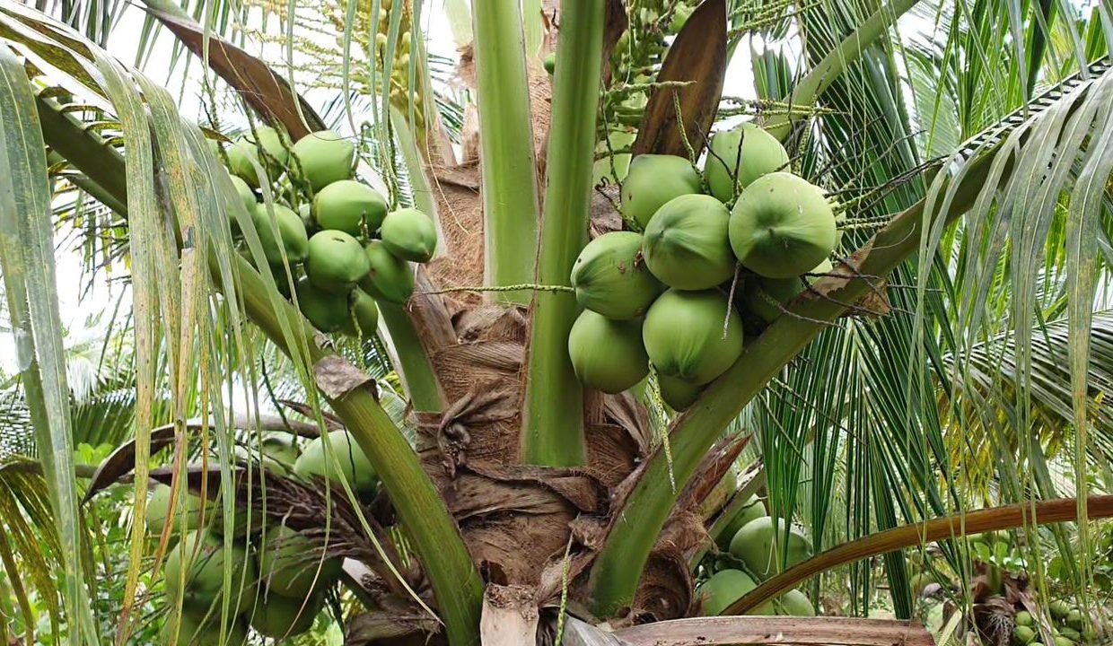 241528eb-eda3-4e3b-8f26-b54f9e3fed01