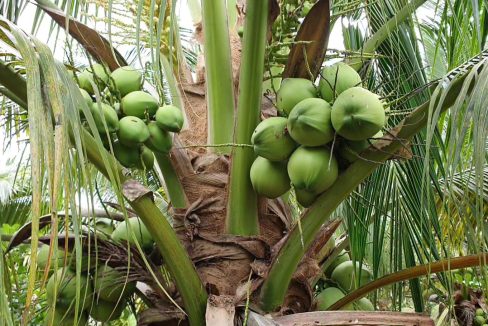 241528eb-eda3-4e3b-8f26-b54f9e3fed01