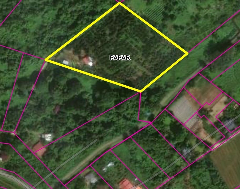 24bbd945-a7f1-481d-8c3a-58df2704fcc6