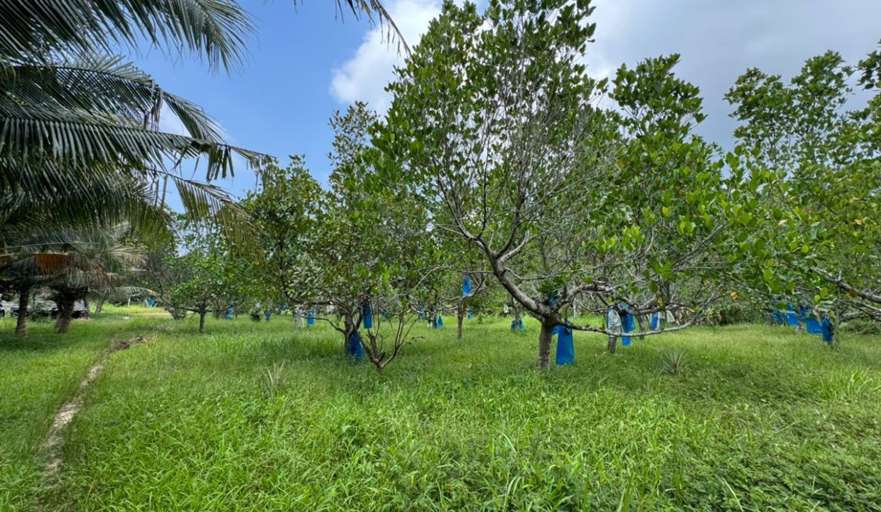 2ee485be-4302-442d-ad9f-7df1cd85c747