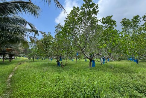 2ee485be-4302-442d-ad9f-7df1cd85c747