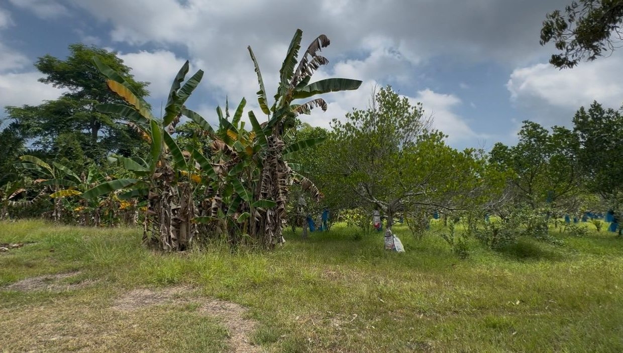 3d94526d-13c8-4d9a-b60f-3fc4f9b483c4