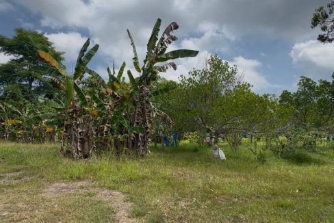 3d94526d-13c8-4d9a-b60f-3fc4f9b483c4