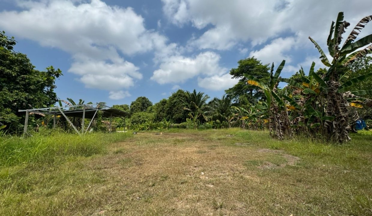 5e11740f-8bf0-4580-ba98-8ba7d68df99c