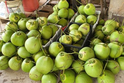 656ff26b-74b7-4204-a70f-1fd7ed09c342