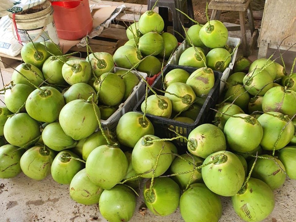 656ff26b-74b7-4204-a70f-1fd7ed09c342