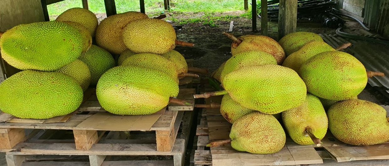 665a4a76-8d32-4e66-ab3e-231a9df1beb1