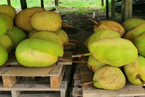 665a4a76-8d32-4e66-ab3e-231a9df1beb1