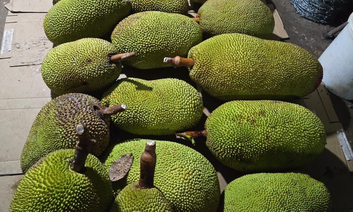 70d8a4b7-de73-46b2-990c-cd0cfbcb598d