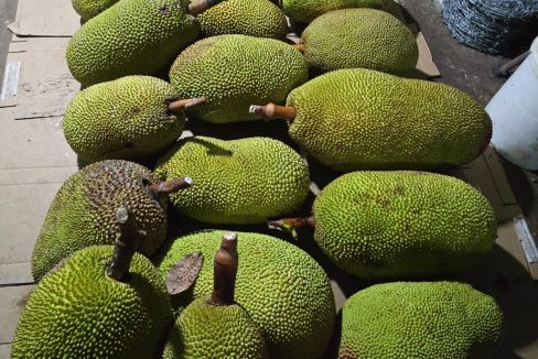 70d8a4b7-de73-46b2-990c-cd0cfbcb598d